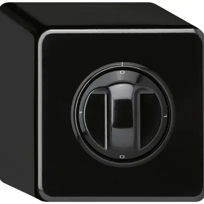 Interruttore rotativo AP basico 2/1L nero con manopola 