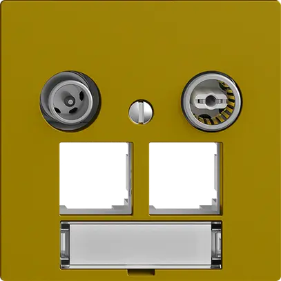 Prise multimédia EDIZIOdue F EASYNET 11dB, p.2×RJ45 S-One, olive 