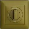 Frontset 0-Auto-0-Main EDIZIOdue olive 88×88mm für Drehschalter 