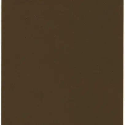 Plaque d'obturation kallysto tebis pour champ d'inscription 5 pièces brun 