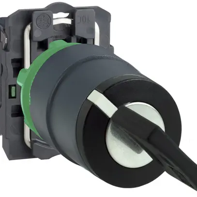 Interruttore a chiave Schneider 2 posizione fisse nero 