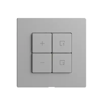 Comando per dimmer 1c scena/4t Edue Wiser silver 