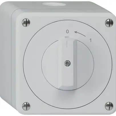 Contatto rotativo AP robusto IP55 grigio 2P 