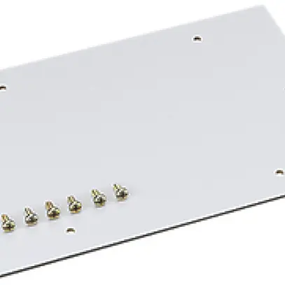 Placca di montaggio ELS 220×150mm 