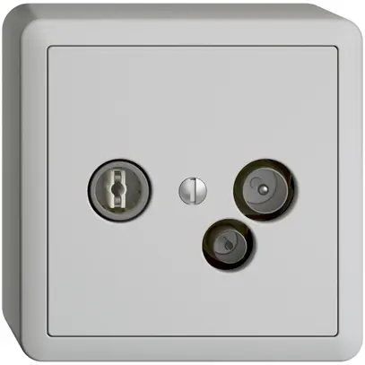 Prise de données AP TV-R DD11 5…65MHz EDIZIOdue gris clair 