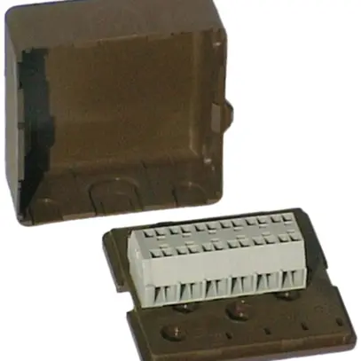 Boîte de dérivation AP Woodtli avec couvercle vide brun 