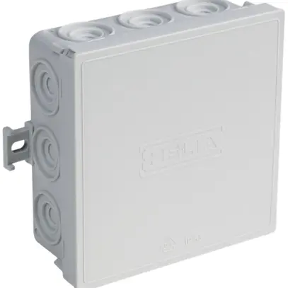 AP-Abzweigdose AGRO leer 100×100mm 