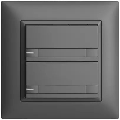 Poussoir ENC KNX 2× EDIZIOdue colore gris foncé RGB avec LED avec insert papier 