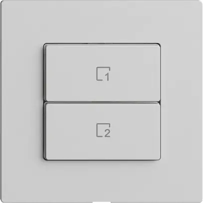 Pulsante scena 2 scene verticale/2T WLAN Edue Wiser grigio chiaro 