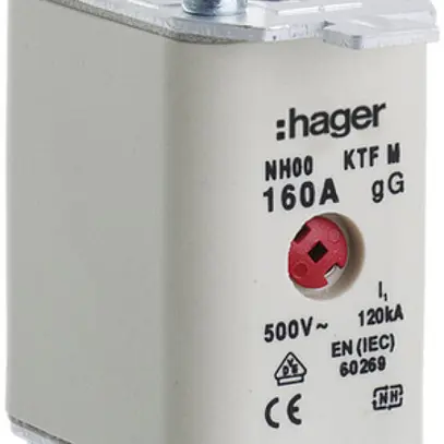 Fusibile HPC Hager DIN00 500VAC 160A gG/gL segnalatore doppio antiruggine 