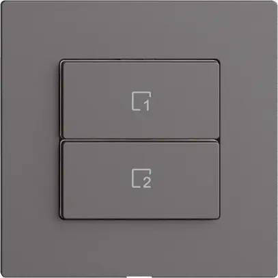 Szenentaster 2 Szenen vertikal/2T WLAN Edue Wiser dunkelgrau 