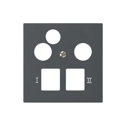 Placca frontale kallysto per R&M HWS antracite 3 fori dati multimedia 