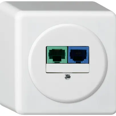 Scatola di raccordo AP DSL basico 2×RJ45 bianco 