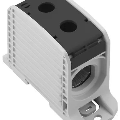 Blocco di distribuzione WM WPD 133 1×300/1×300mm² 520A 1000V TS35 nero 