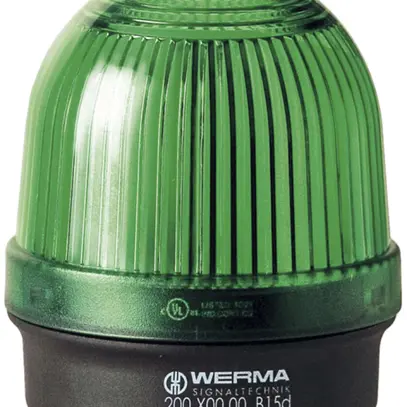 Lampe permanente BM 12…230V AC/DC vert 