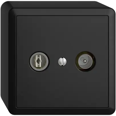 Presa TV-R AP EDIZIOdue 19dB nero a banda larga 5…2000MHz, FX54 