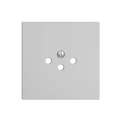 Plaque frontale EDIZIOdue T12 gris clair, pour prise 