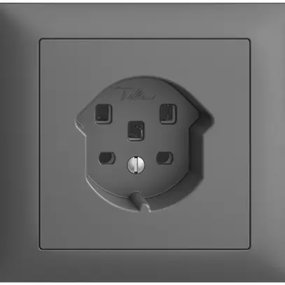 Presa INS EDIZIOdue T25 16A grigio scuro, con morsetti innest. 