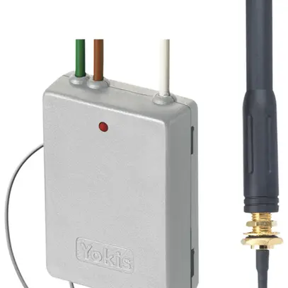 Trasmettitore RF Yokis 2 canali 2.4GHz con antenna 