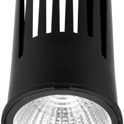 Module LED INC pour LUDOSPOT 50, 230V 12W 940lm 4000K 40° réglable noir 