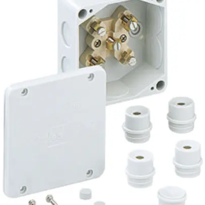 Scatola derivazione AP WK 060 6², 100×100×50mm 