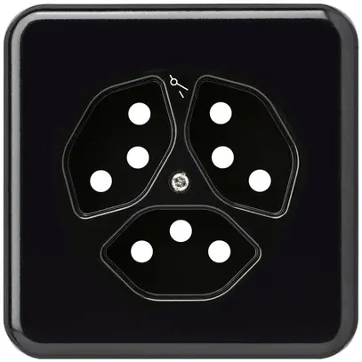 Abdeckplatte basico 3×Typ 13/1 Isolierstoff schwarz mit Kinderschutz 