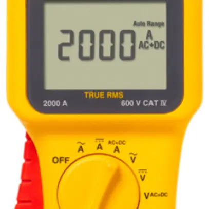 Pince de mesure Fluke 355 