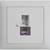 Presa INS T+T 6P/1×RJ45 DSL-a banda larga grigio chiaro EDIZIOdue 