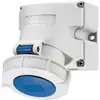 Presa AP CEE 16A 3P 6h 230V blu IP67 Mennekes TwinCONTACT 