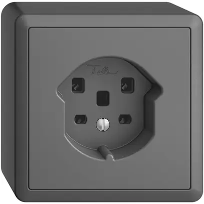 Prise AP EDIZIOdue T25 16A gris foncé, bornes à vis 