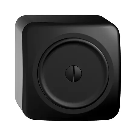 AP-Blindabdeckung STANDARDdue schwarz 