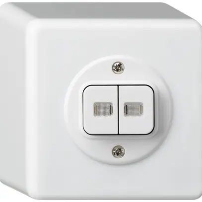 Contact à poussoir lumineux AP basico 2×AR/1L blanc 