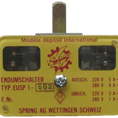 Endschalter Spring EUSP1 grau 