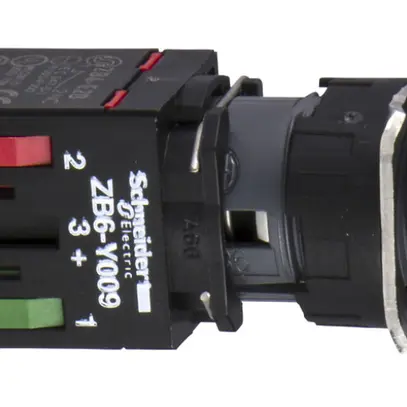 Pulsante luminoso INS Schneider Electric 1Ch 12/24VUC bianco 