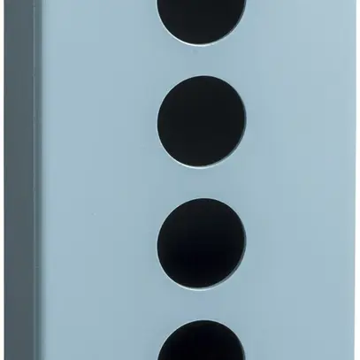 Scatola AP Schneider Electric 80×175×51.5mm blu 4 fori 