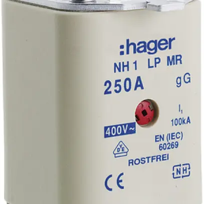 Fusible HPC Hager DIN2c 400VAC 160A gG/gL avertisseur double antirouille 