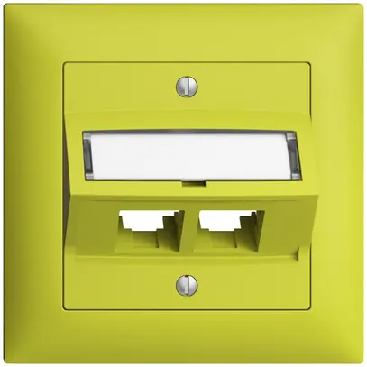 Kit de montage ENC S-One EDIZIOdue FMI pour 2×RJ45 oblique, lemon 