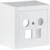 Prise multimédia AP R&M 2×RJ45 2×coaxial 78×78mm blanc 