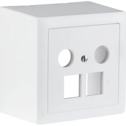 Presa multimedia AP R&M 2×RJ45 2×coassiale 78×78mm bianco 