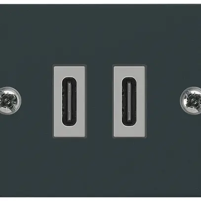 Prise de charge USB INC Hager FLF C-C 20W 5V 37.5×62.5mm noir 