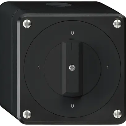 AP-Drehschalter robusto IP55 Schema 0/1P schwarz 