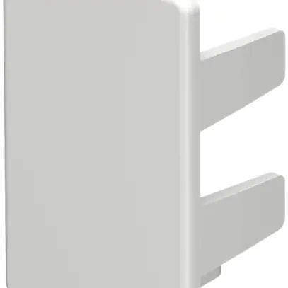 Plaque de fermeture Bettermann pour canal d'installation WDK blanc pur 25×40mm 