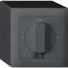 Interruttore rotativo AP kallysto 2/1L antracite 0-A-0-H con manopola 