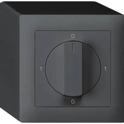 AP-Drehschalter kallysto 2/1L anthrazit 0-A-0-H mit Drehgriff 