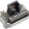Interno RNIS R&M 1×RJ45/u 8P morsetti a vite, swissline 