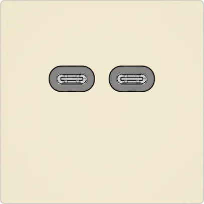 Presa di ricarica USB EDIZIO.liv SNAPFIX® 230VAC 18W 2×USB C cr 