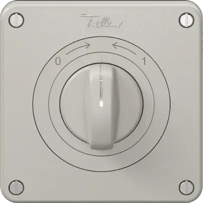 Contact pivotant NEVO N.CO avec manette, KS, 0<->1, gris clair 