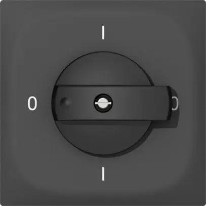 Interruttore rotativo INC SIDUS E 0/3L antracite 