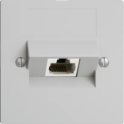 Inserto per presa di raccordo INC 1×RJ45/u 4P ITplus EDIZIOdue grigio chiaro 