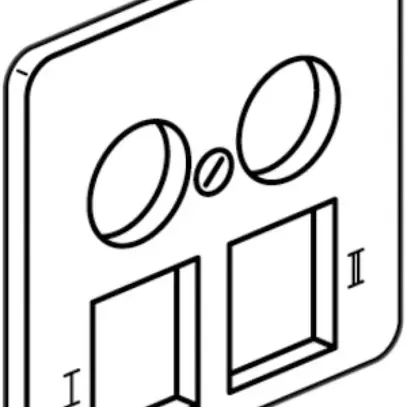 Placca frontale ATO ADV 2×coassiale + 2×RJ45 magnesio 